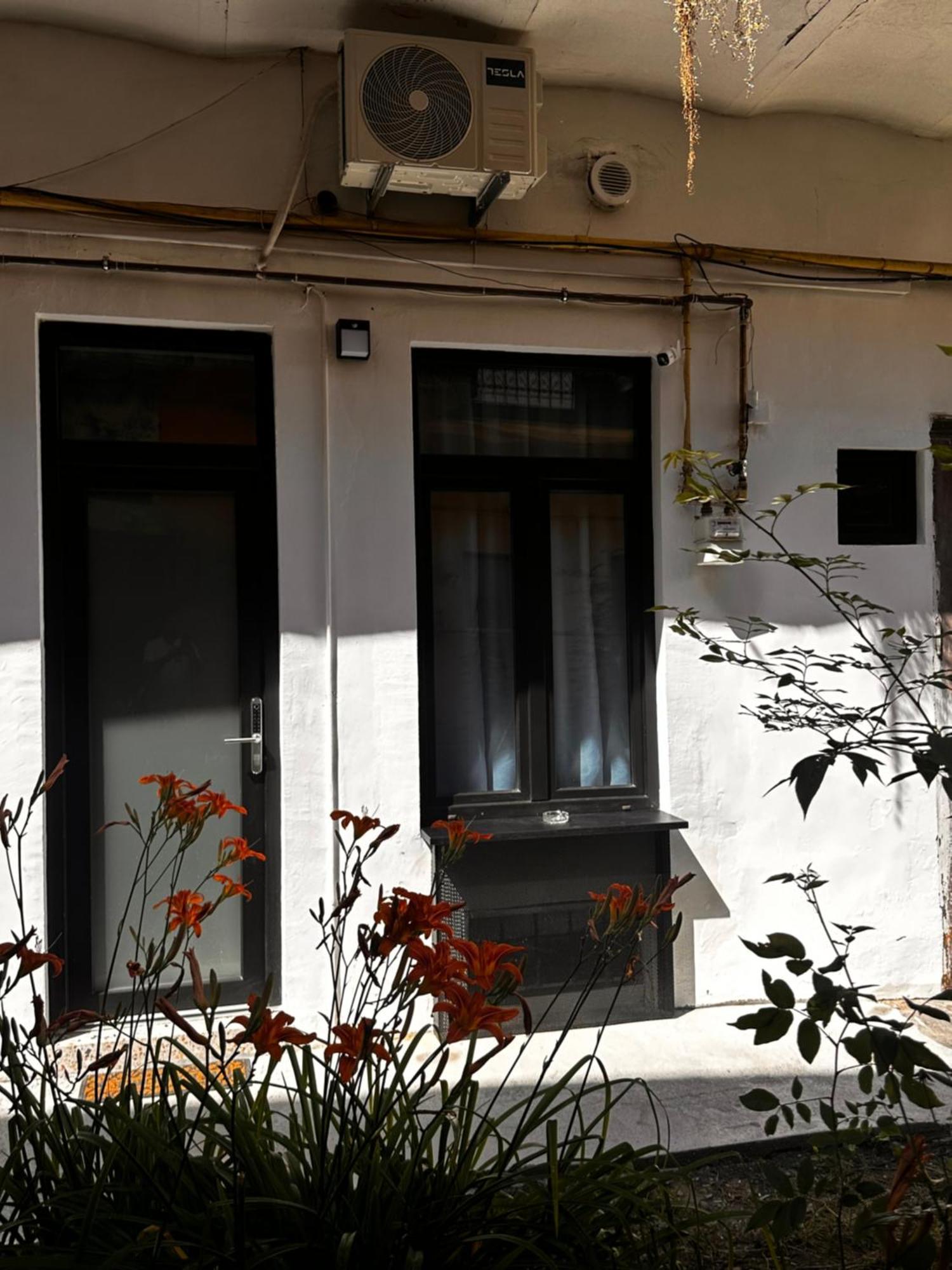 Jais Home-Moon Apartment Old Town Κλουζ-Ναπόκα Εξωτερικό φωτογραφία